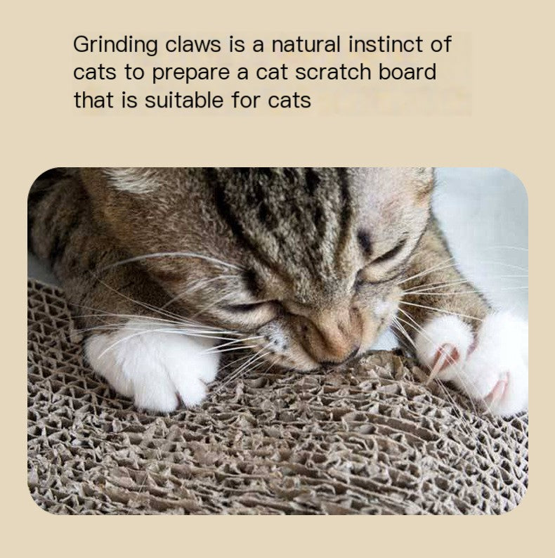 Arched Cat Scratcher & Play Lounge