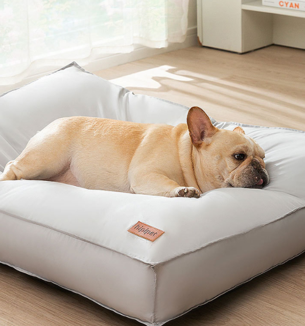 Minimalist Orthopedic Pet Bed